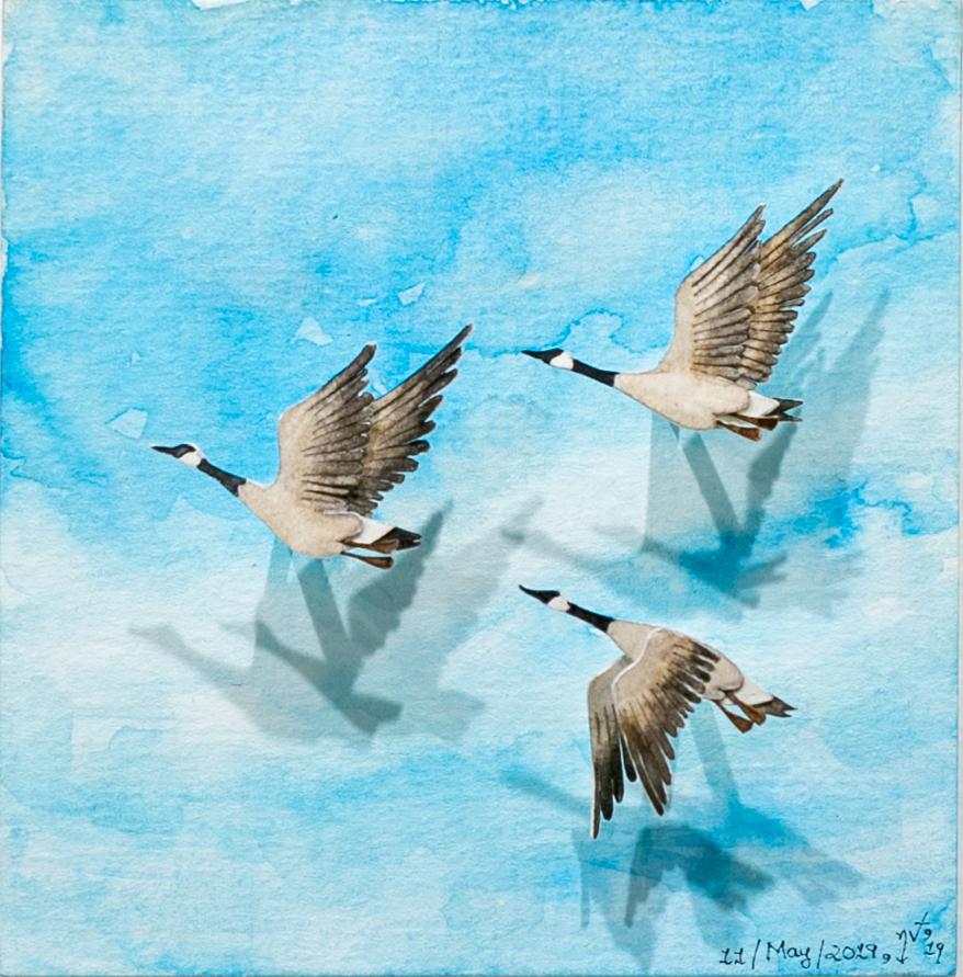 Nayan and Venus Animal Painting - "Canada geese" Paper and Watercolor, Animal, Painting, Sculpture