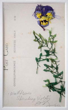 "Wallflowers: Shrinking violet", Surreal Embroidered Flower on Vintage Photo
