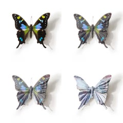 A Thing of Beauty #6 (Graphium)