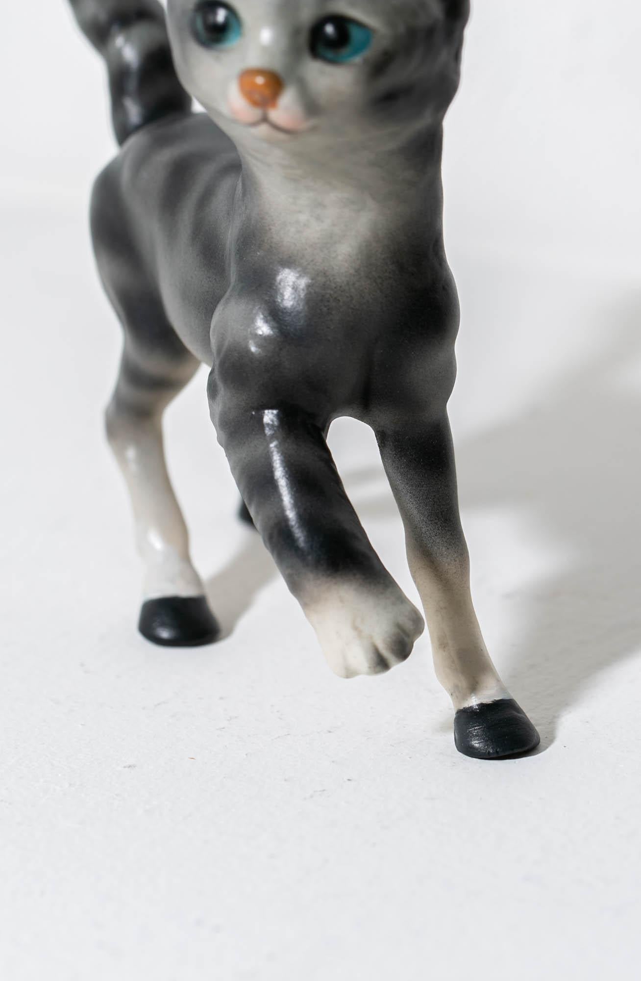 Horse Cat (Gray Tabby) 2