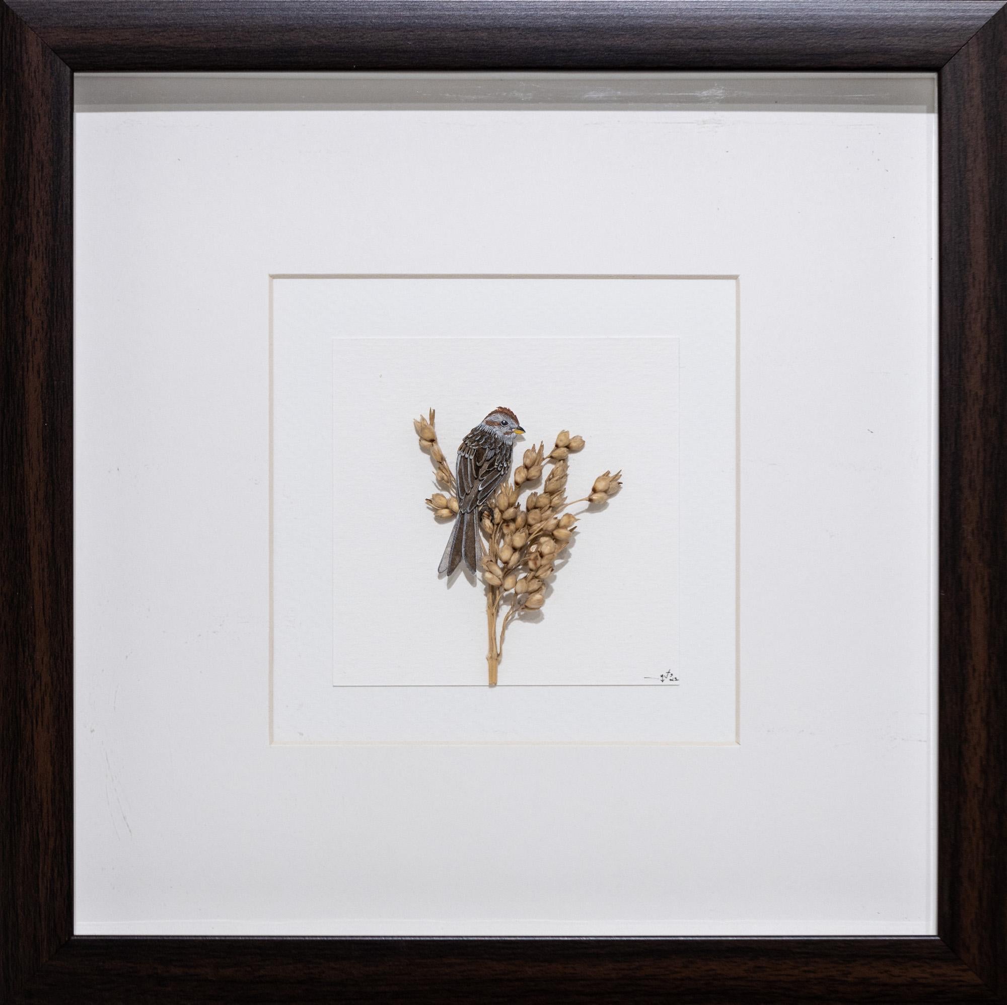 Nayan and Venus Animal Art - American tree Sparrow