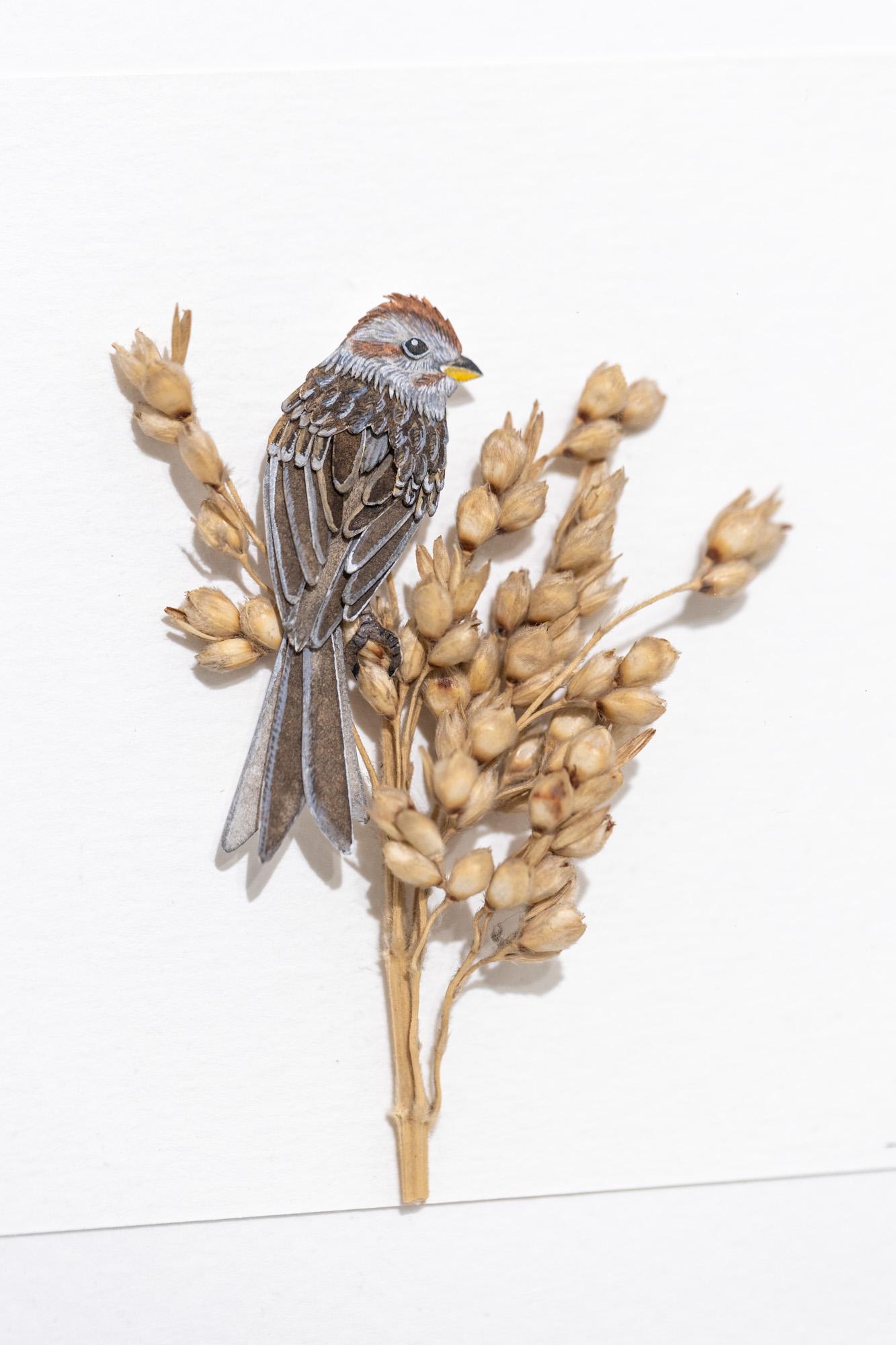 American tree Sparrow - Art by Nayan and Venus