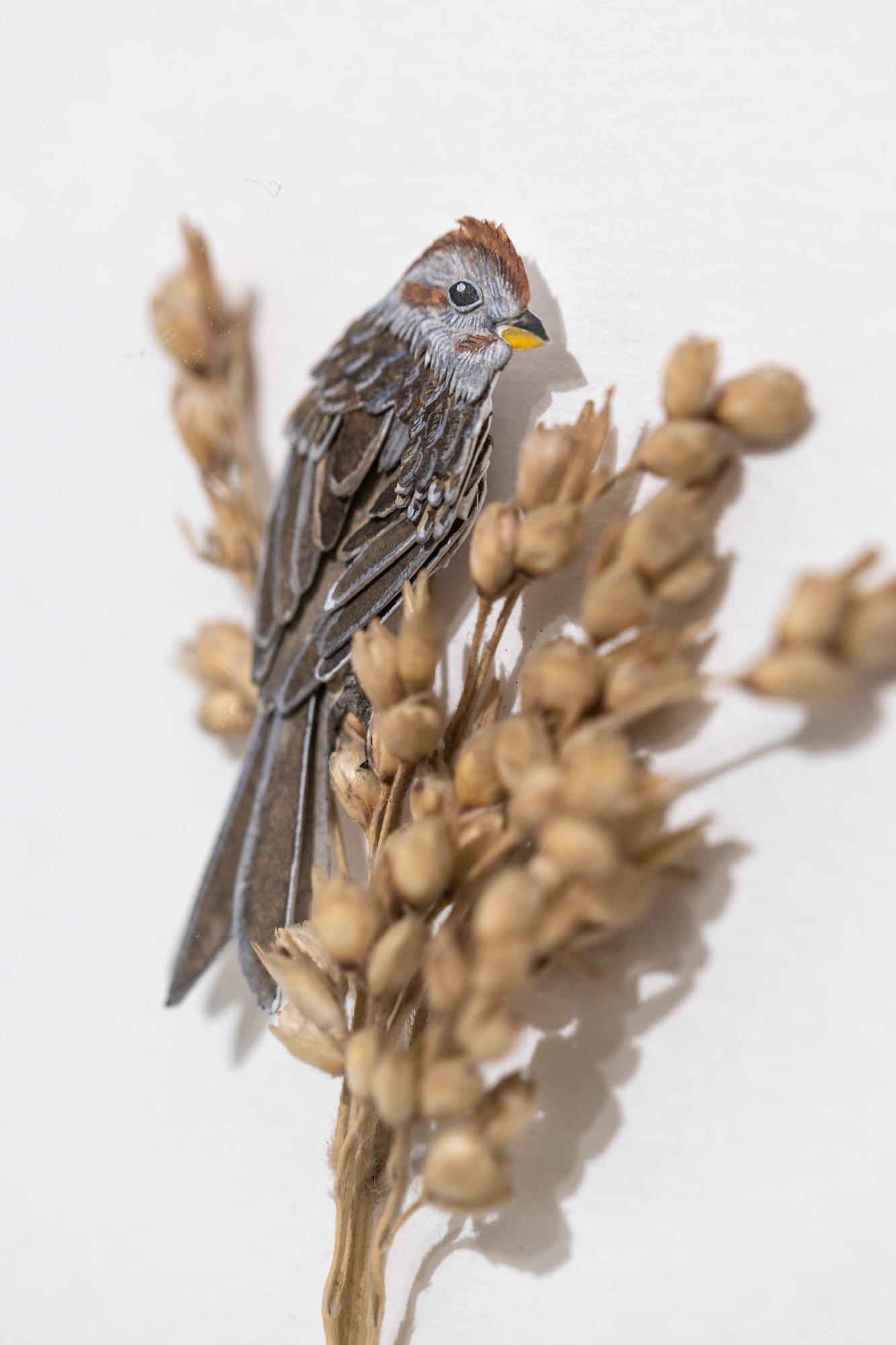 American tree Sparrow - Gray Animal Art by Nayan and Venus