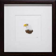 Vintage Bald Eagle Portrait