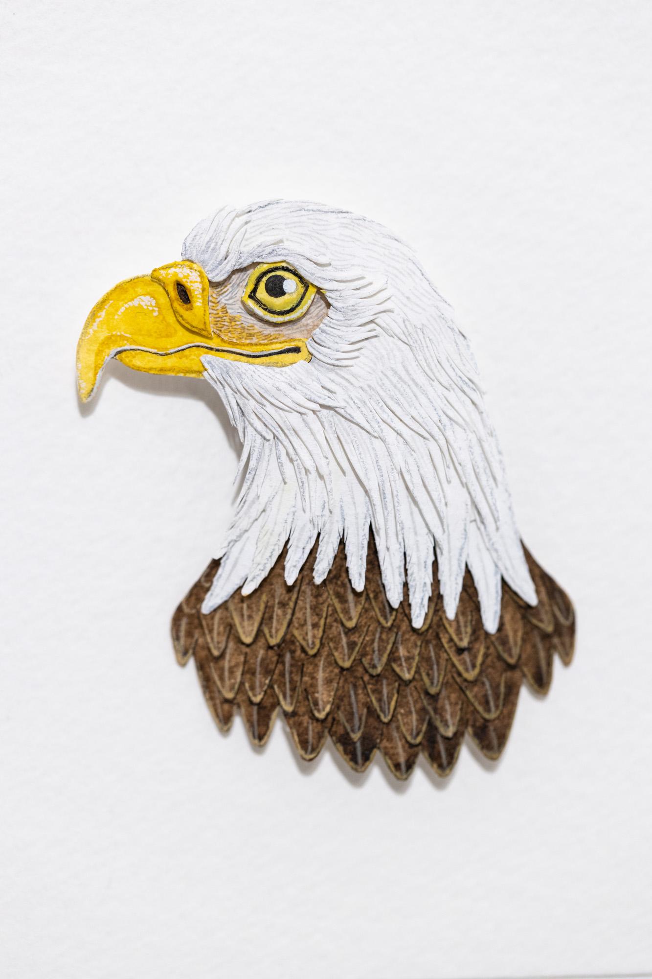 Bald Eagle Portrait - Art by Nayan and Venus