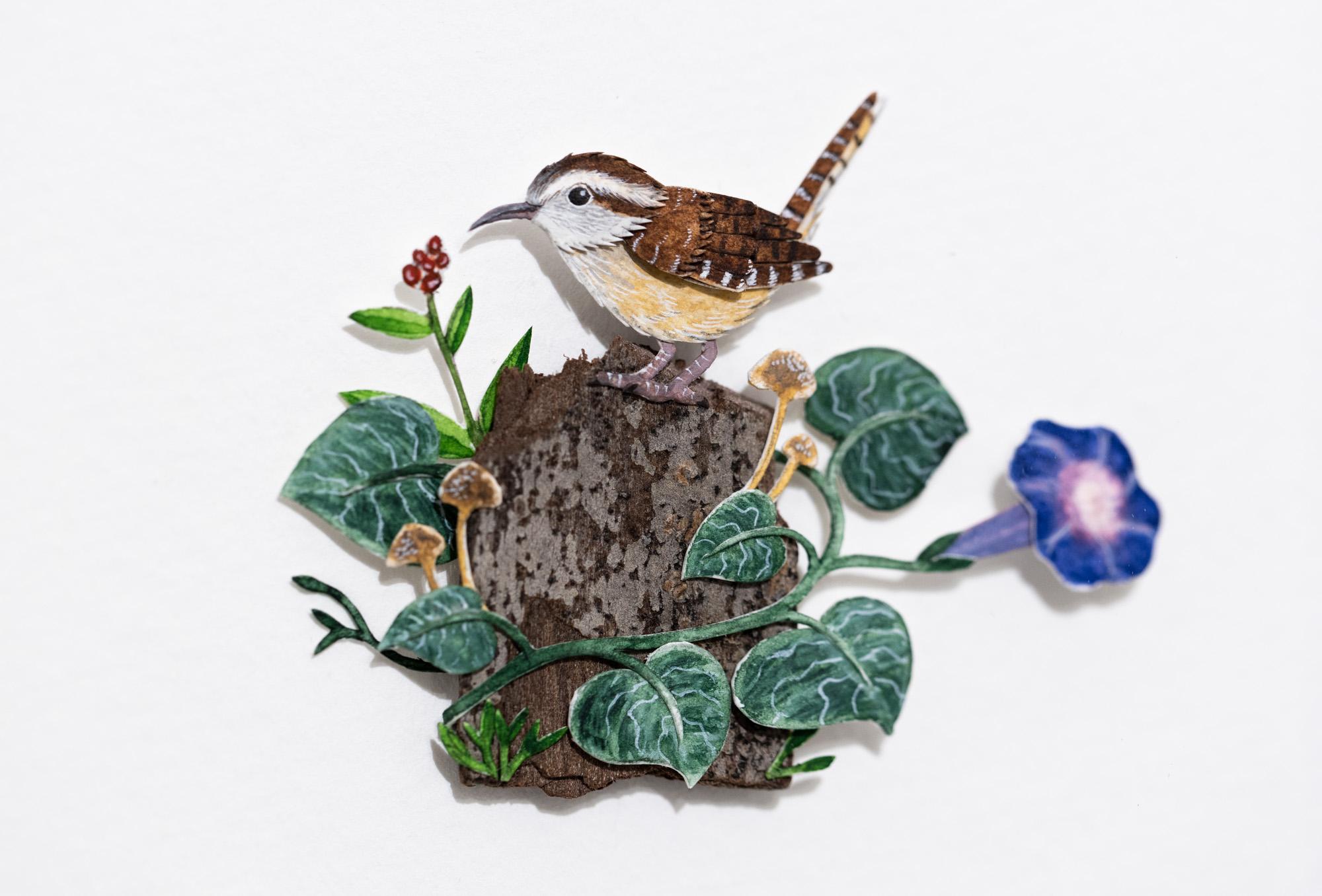 Carolina Wren - Art by Nayan and Venus