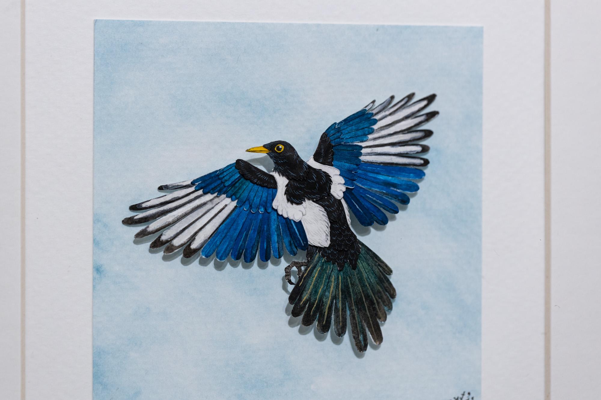 Yellow billed Magpie - Art by Nayan and Venus