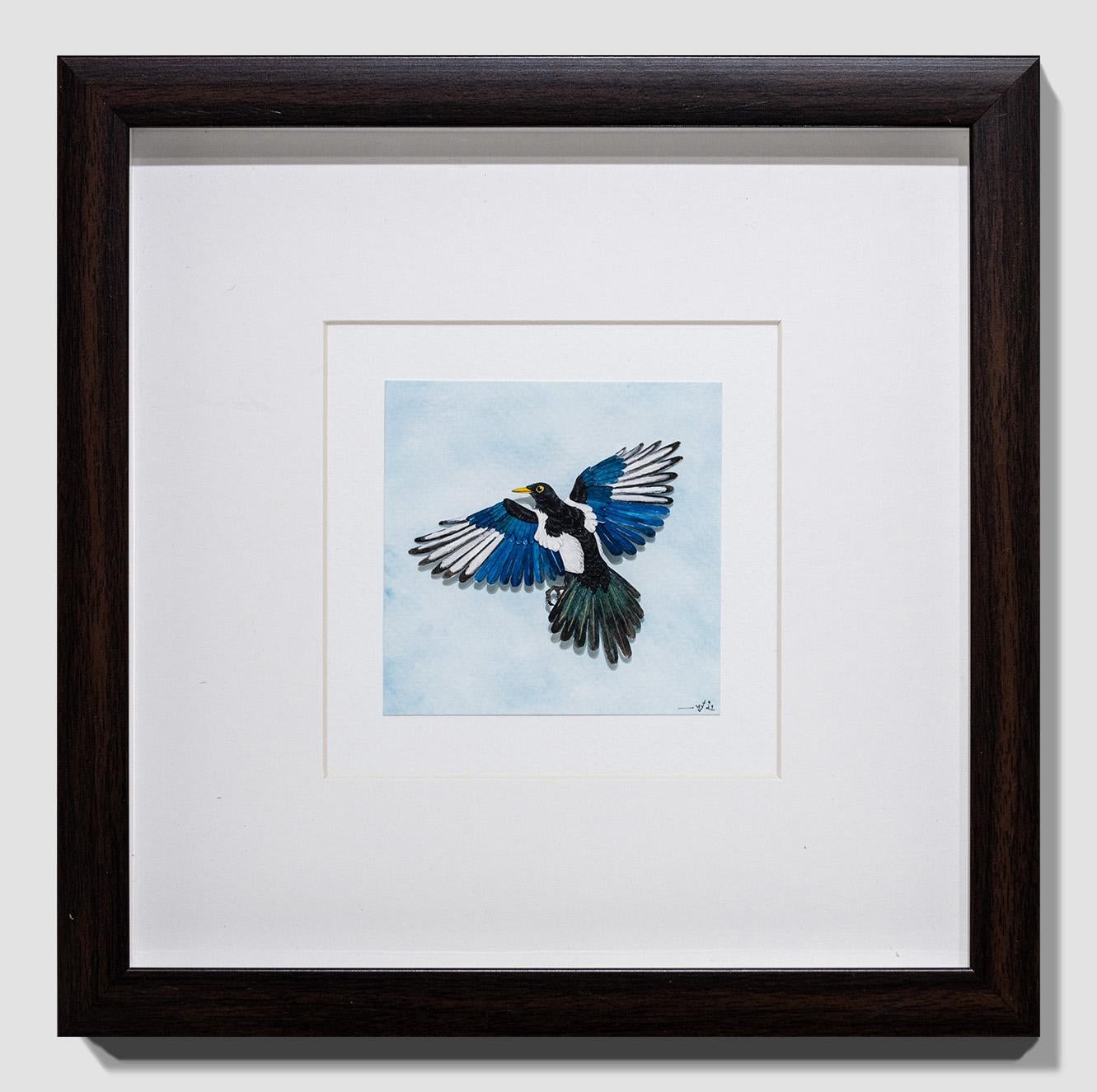 Yellow billed Magpie For Sale 1