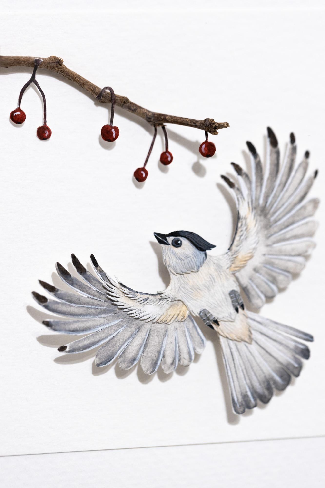 Tufted Titmouse - Art by Nayan and Venus