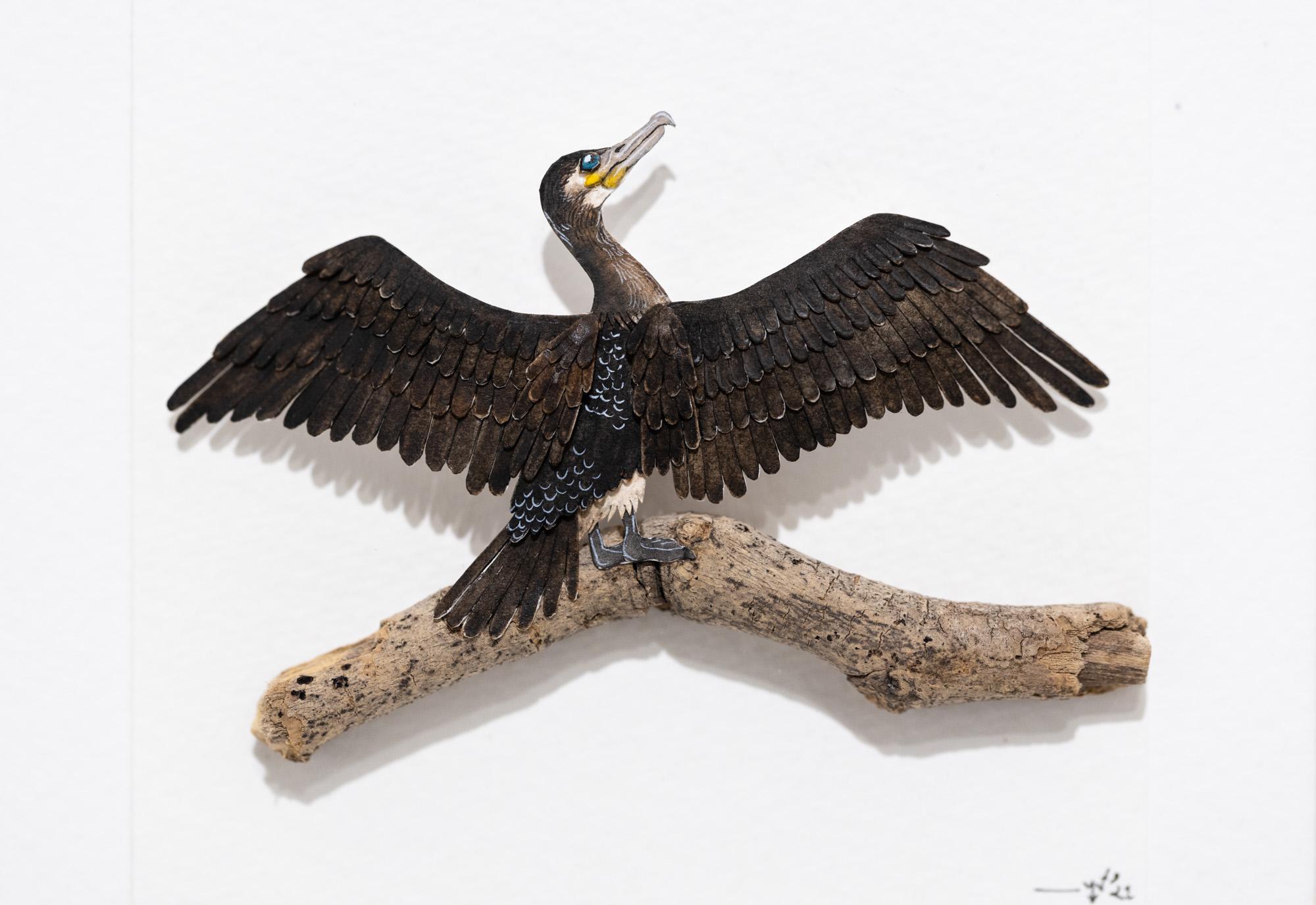 Great Cormorant - Art by Nayan and Venus