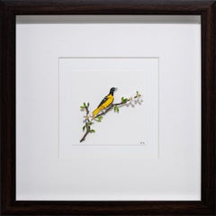 Baltimore Oriole Watercolor and Paper Art, Framed, 21st Century