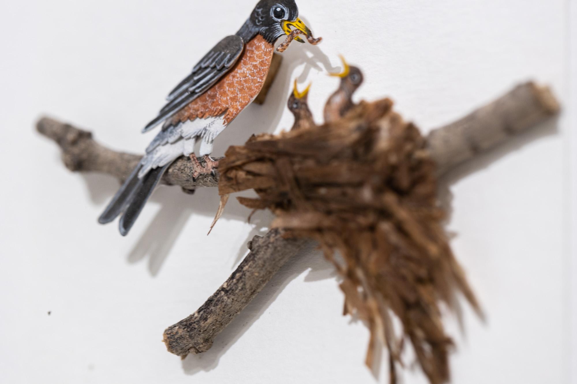 American Robin in nest - Gray Animal Art by Nayan and Venus