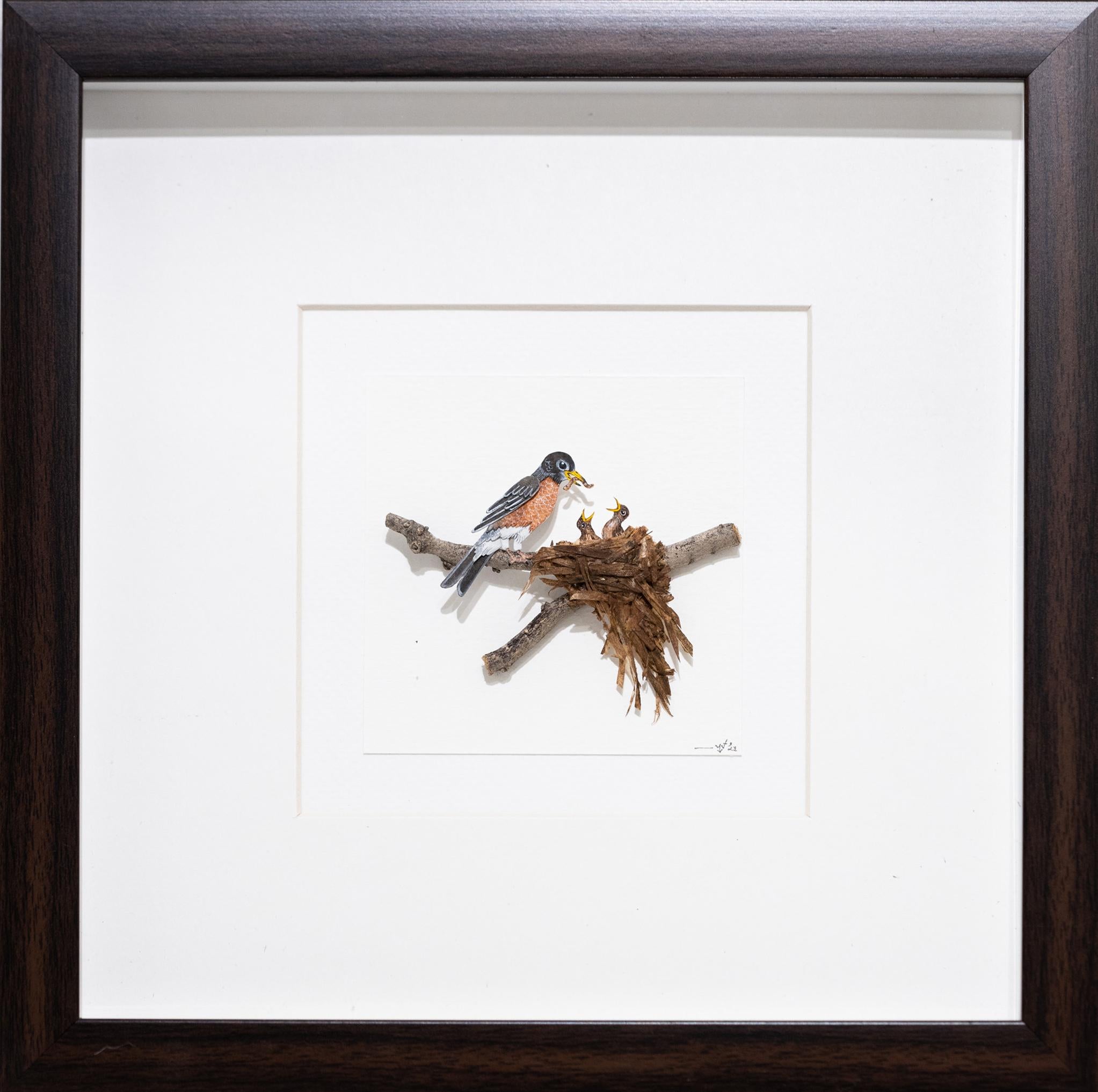 American Robin in Nest Watercolor Artwork, Framed, 21st Century