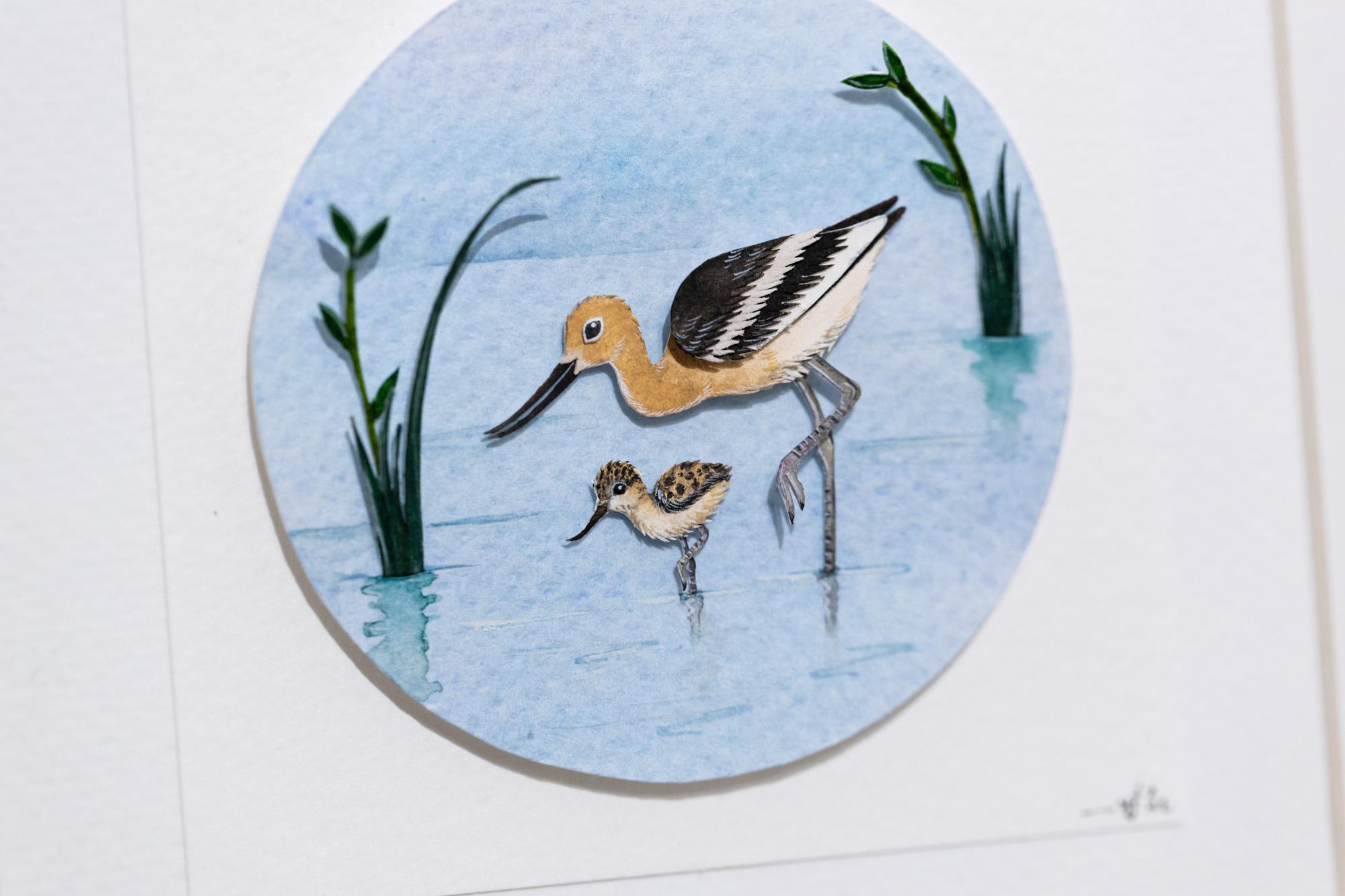 American Avocet with chick - Art by Nayan and Venus