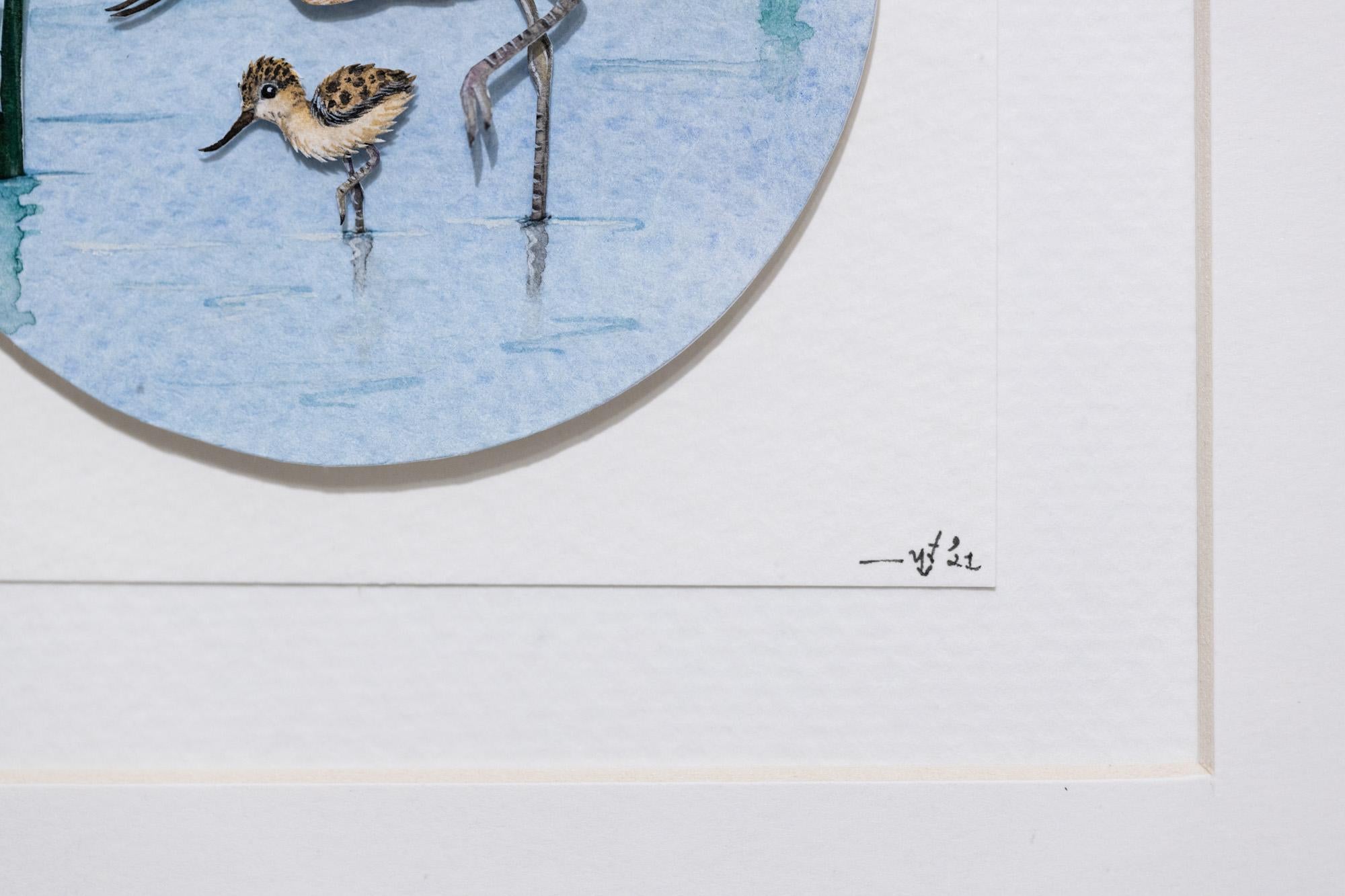 Avoceta americana con polluelo en venta 2