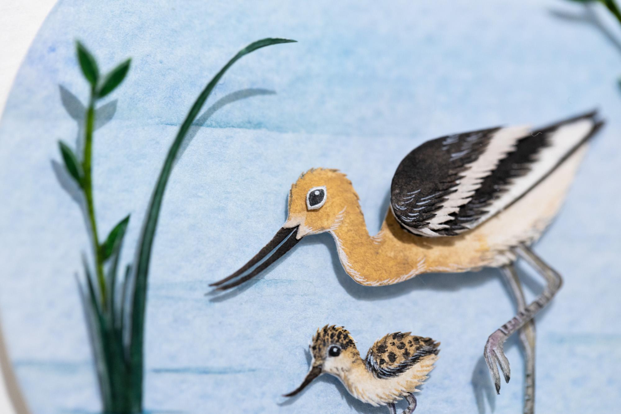 American Avocet with chick For Sale 2