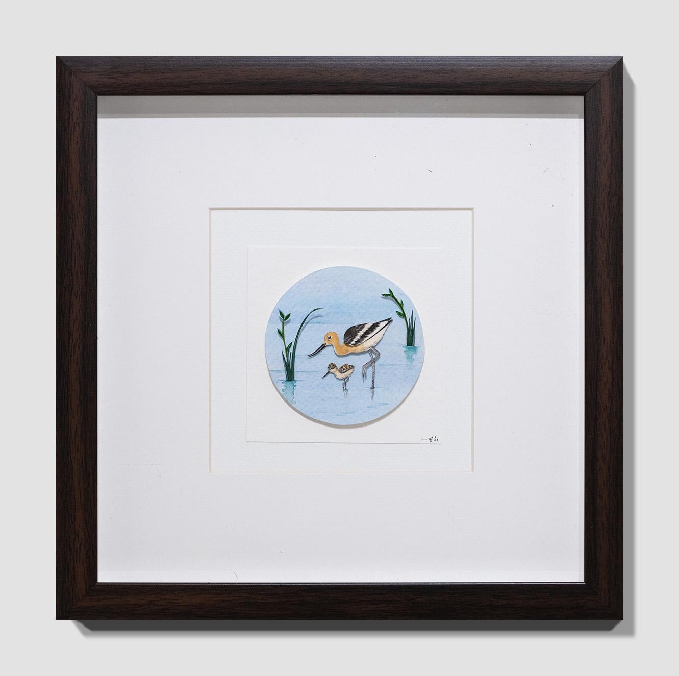 Avoceta americana con polluelo en venta 4