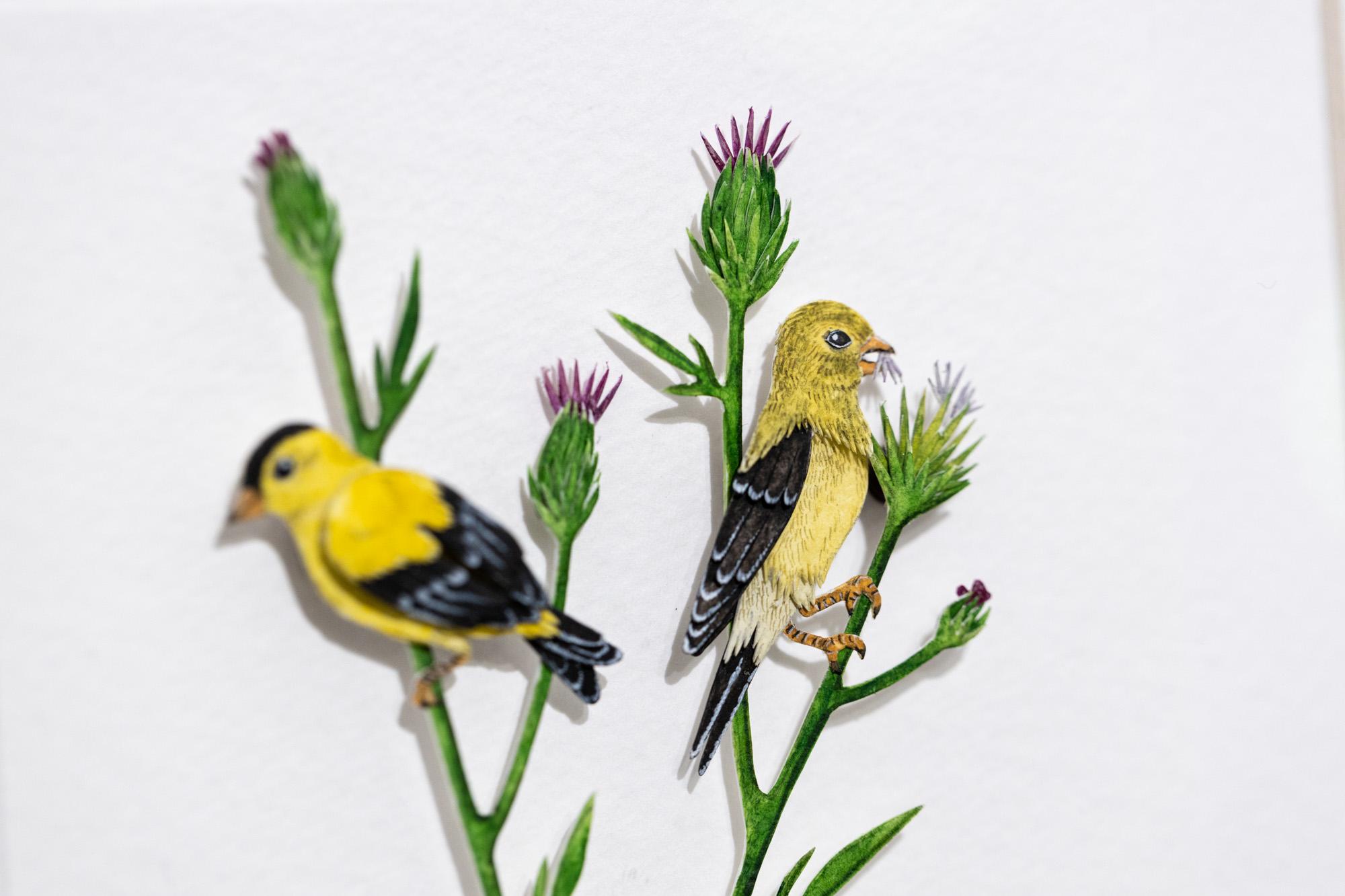 alisa goldfinch sets