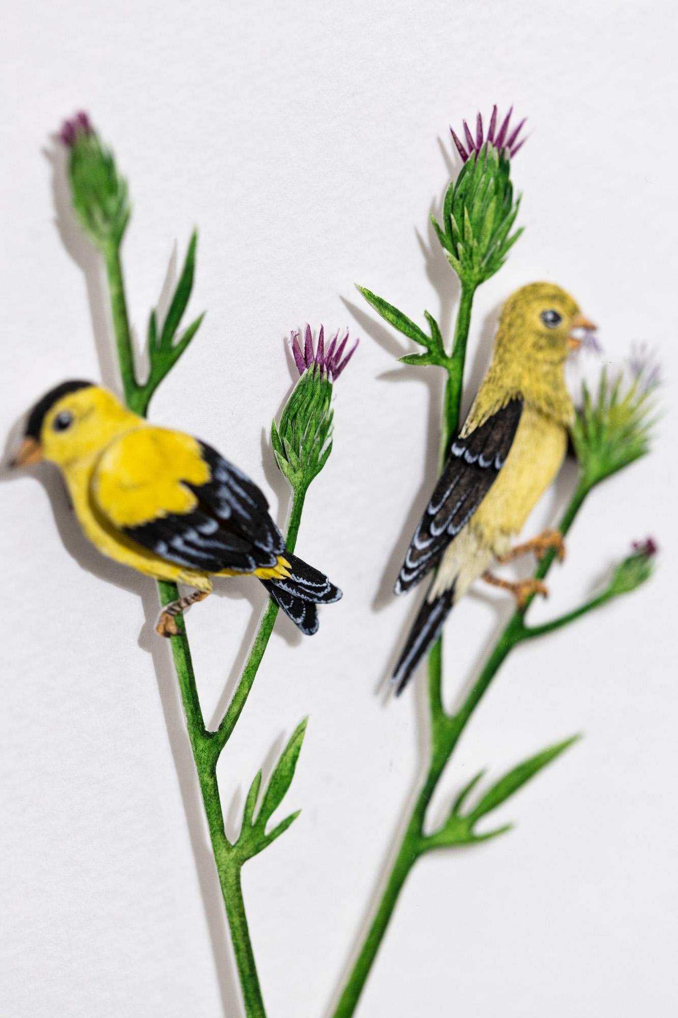 American Goldfinch - Gray Animal Painting by Nayan and Venus