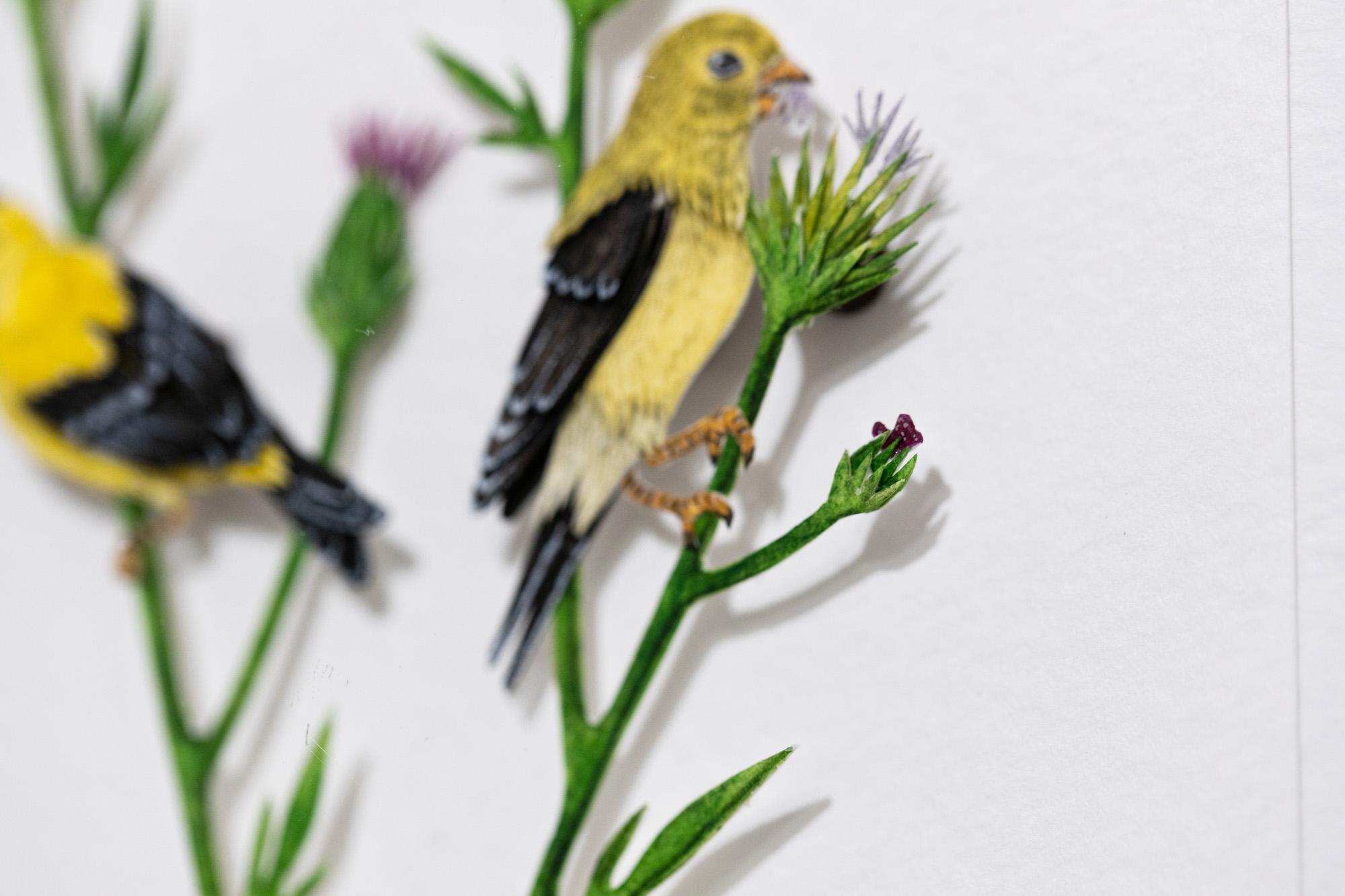 alissa goldfinch