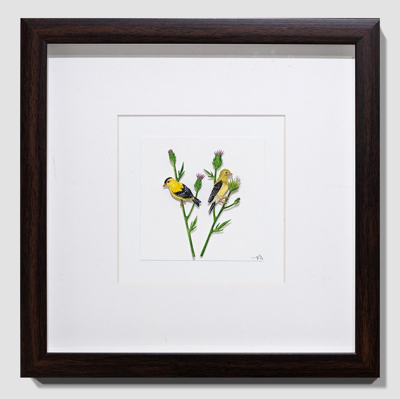 American Goldfinch For Sale 1