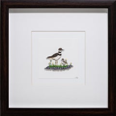 Killdeer mit Käfer