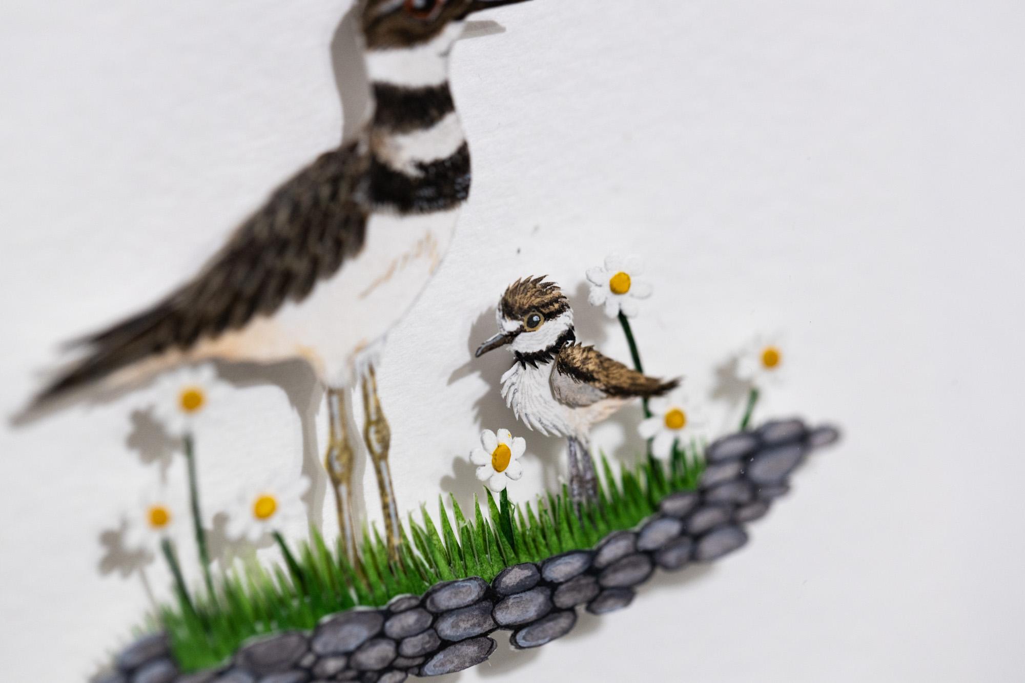 Killdeer with chick - Painting by Nayan and Venus