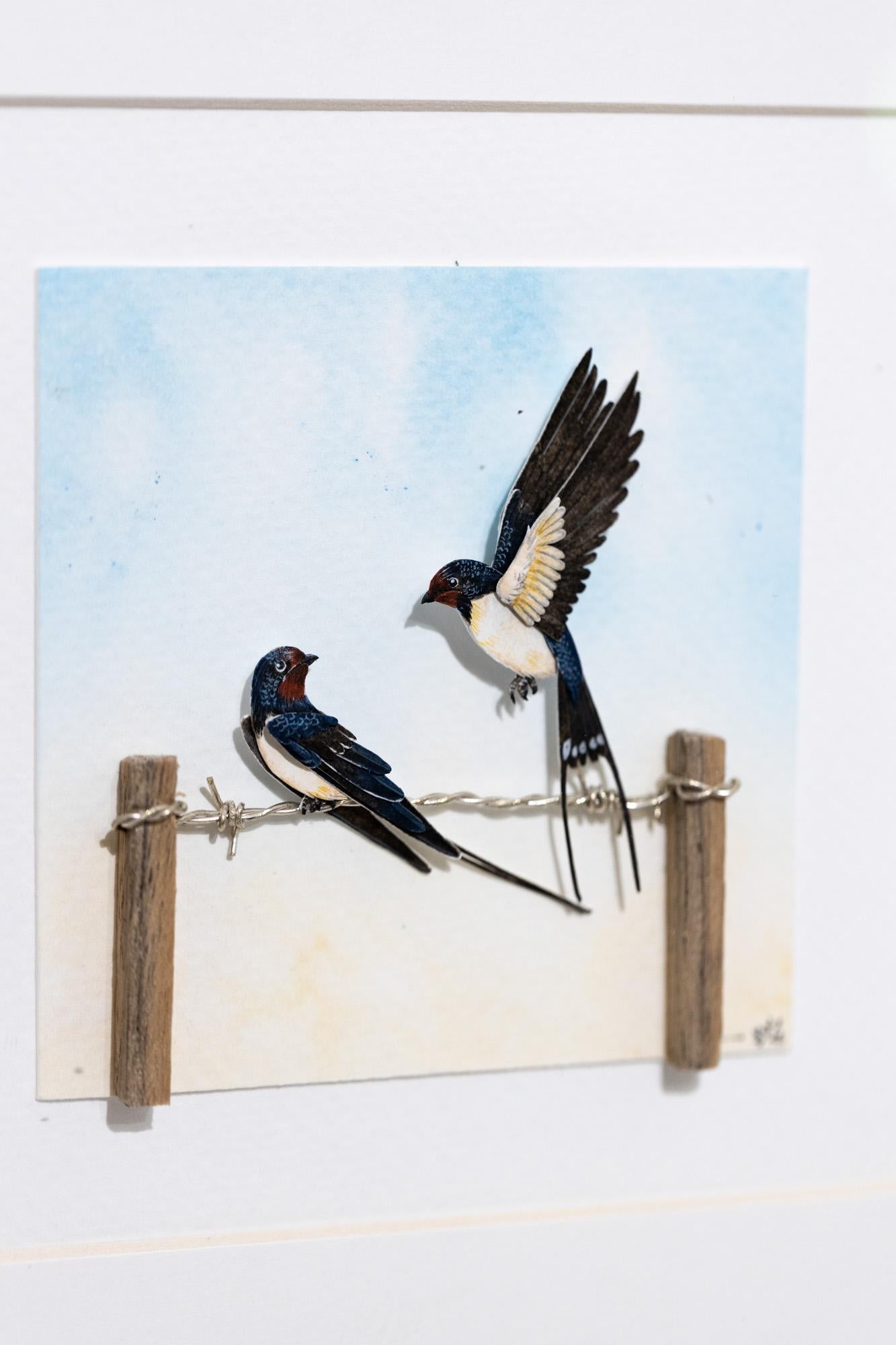 Barn Swallow - Art by Nayan and Venus