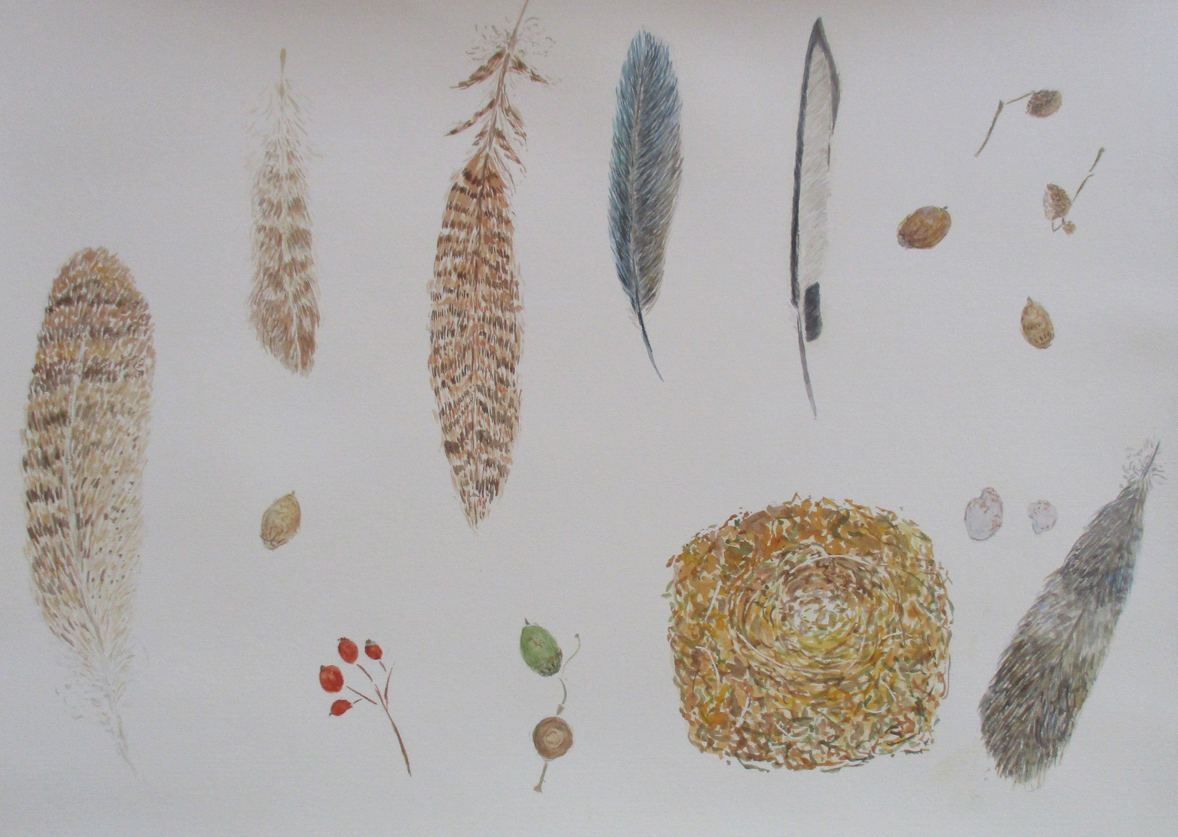 Phillip Alder Still-Life - Autumn still-life with feathers and robin's nest