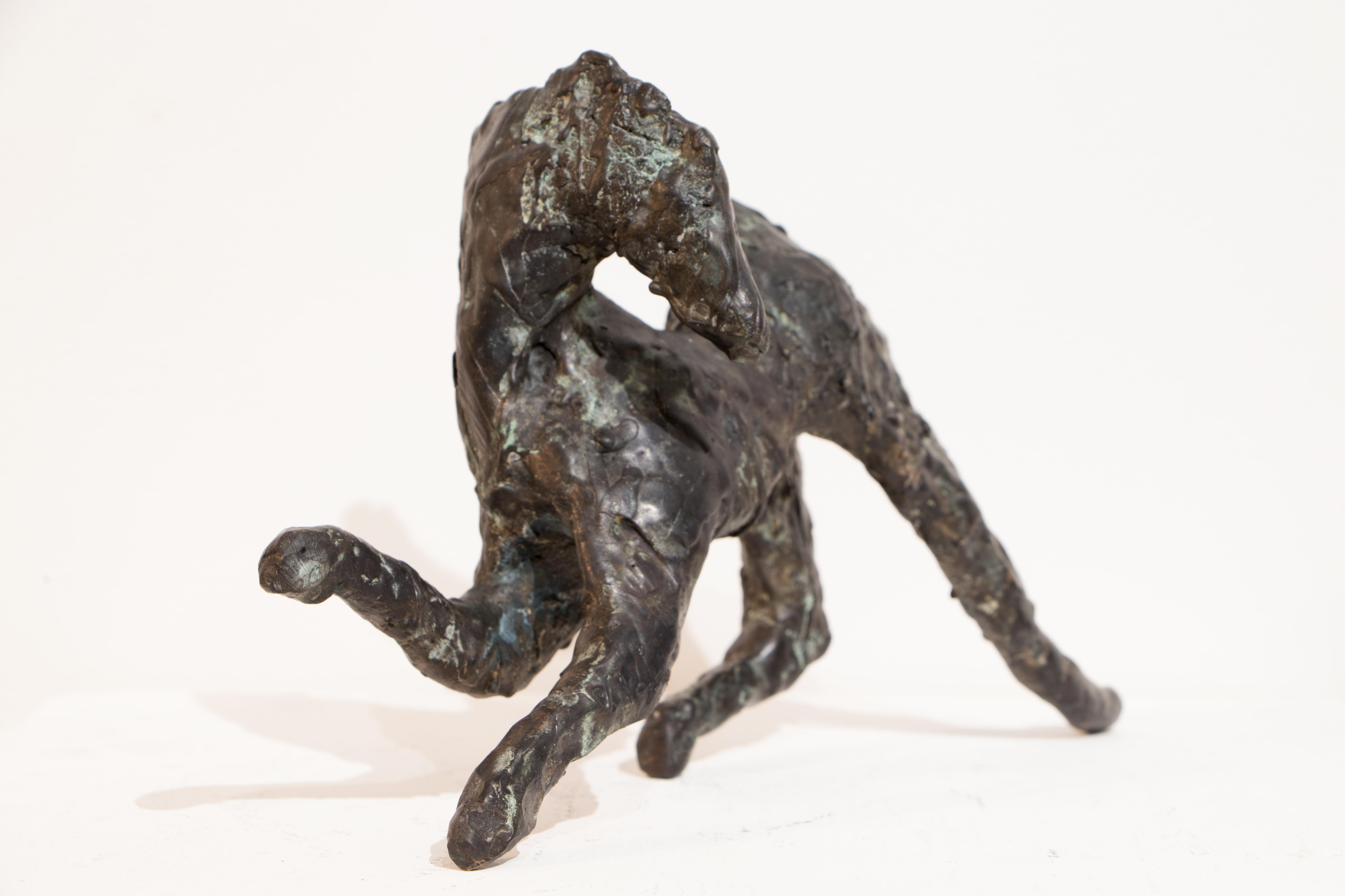 Danusia Wurm Figurative Sculpture - Dressage, Contemporary Bronze Horse