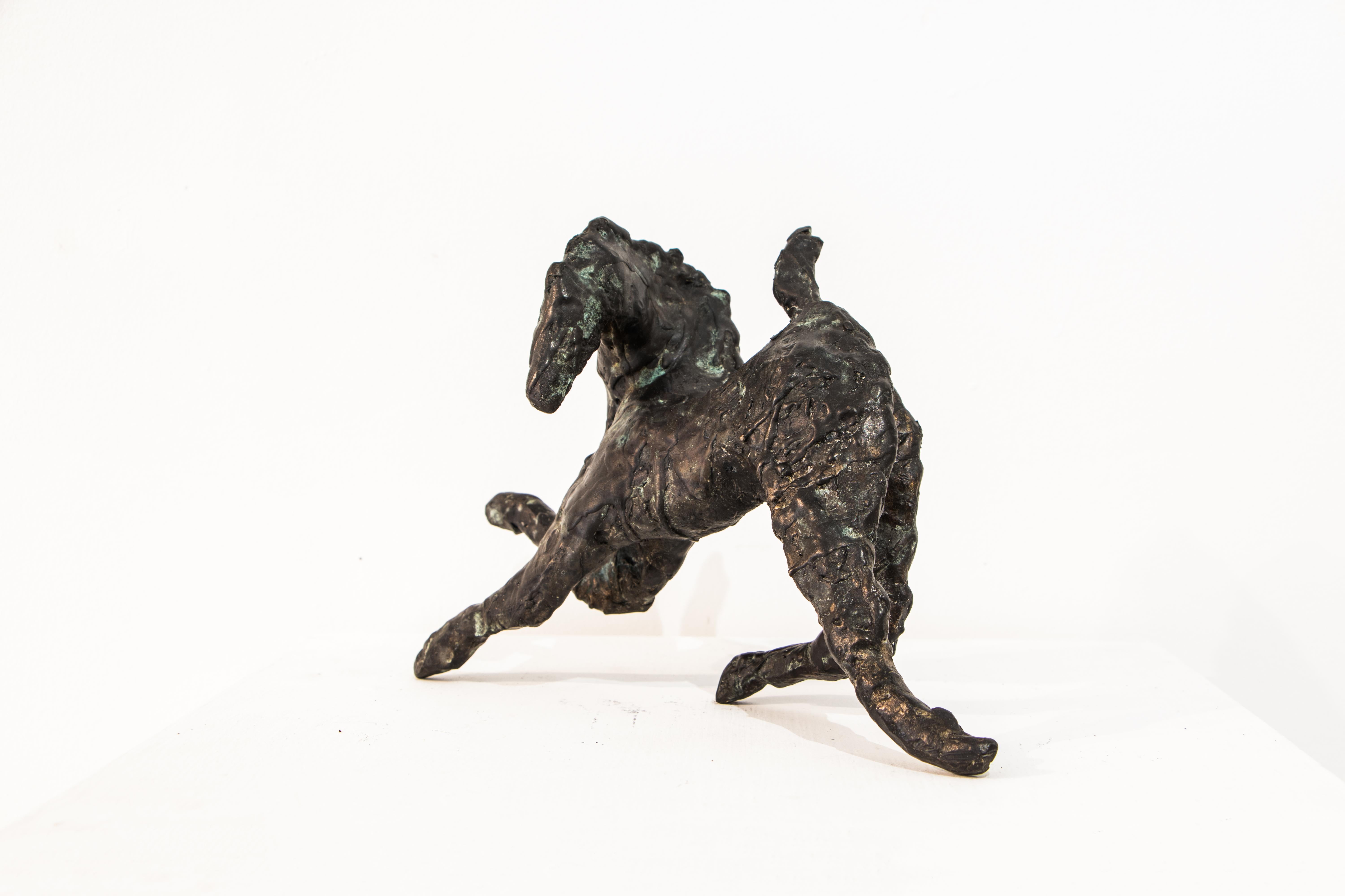 Dressage, Contemporary Bronze Horse - Sculpture by Danusia Wurm
