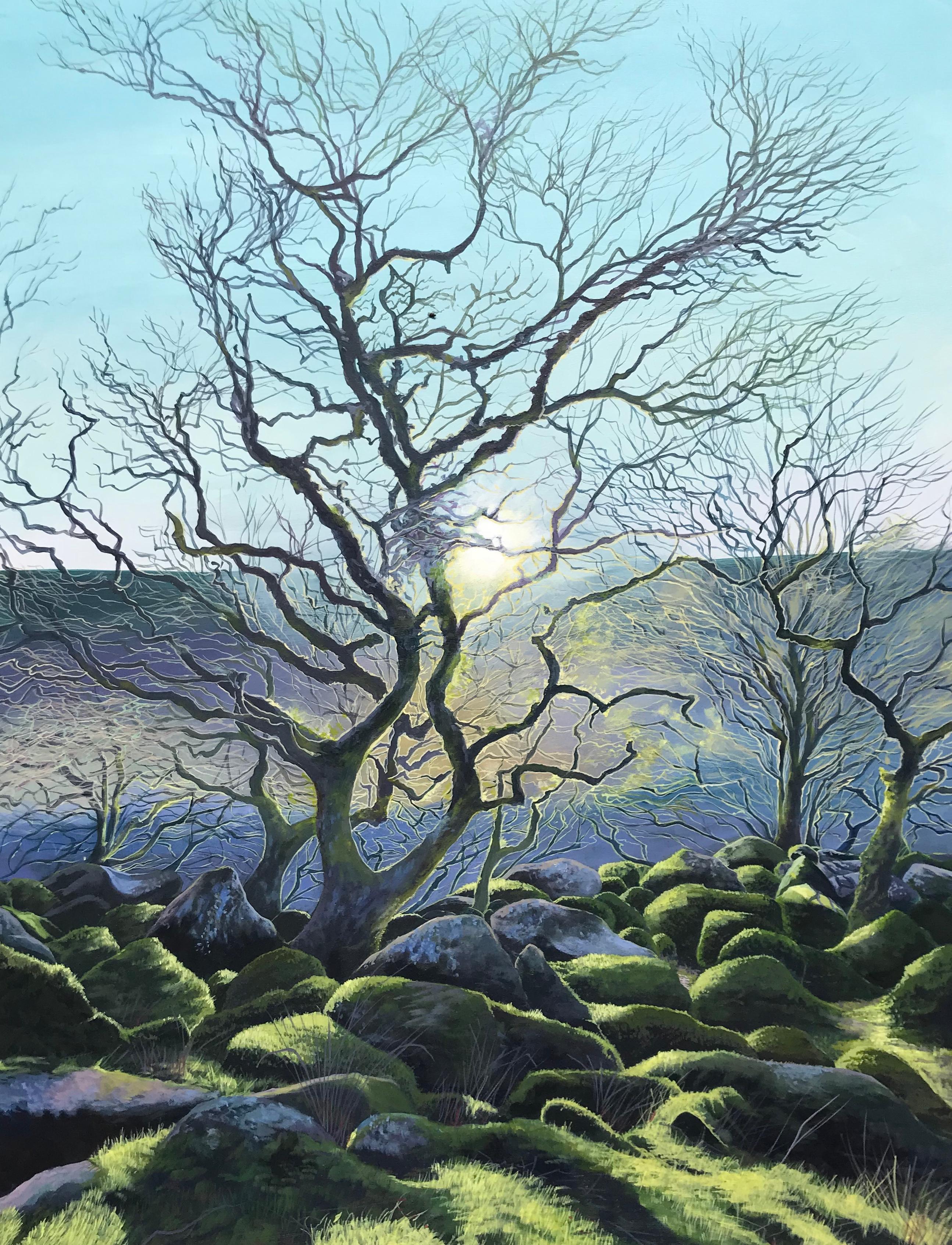 Contemporary view of Wild Dartmoor in England
Framed in a contemporary white wood frame
Image 100x80cms