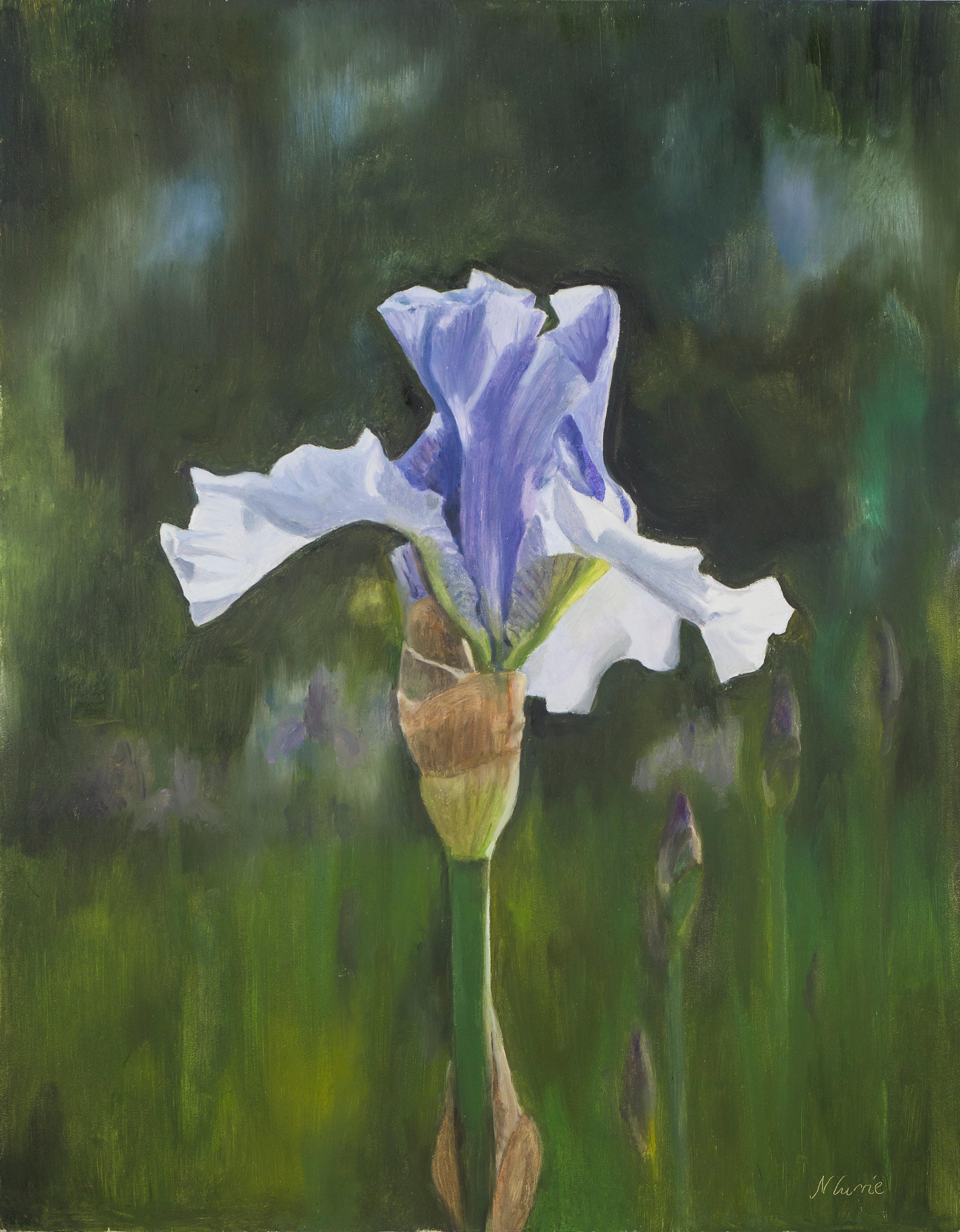 Nicola Currie Still-Life Painting - Spetchley Blue Iris