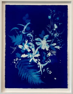 Pteridomania, Contemporary Figurative Cyanotype on Paper, Flora, Framed 