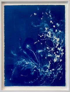 Pendule de beauté, cyanotype figuratif contemporain sur papier, fleur, encadré 