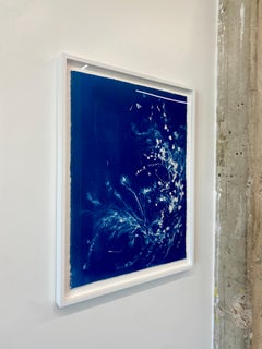 Beauty Pendulum, Contemporary Figurative Cyanotype on Paper, Flora, Framed