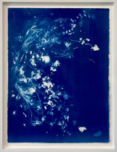 Pressures of Being, Contemporary Figurative Cyanotype on Paper, Flora, Framed 