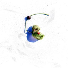 Esperanza (40) : Castaño europeo - Staphylea Pinnata : Dibujo botánico