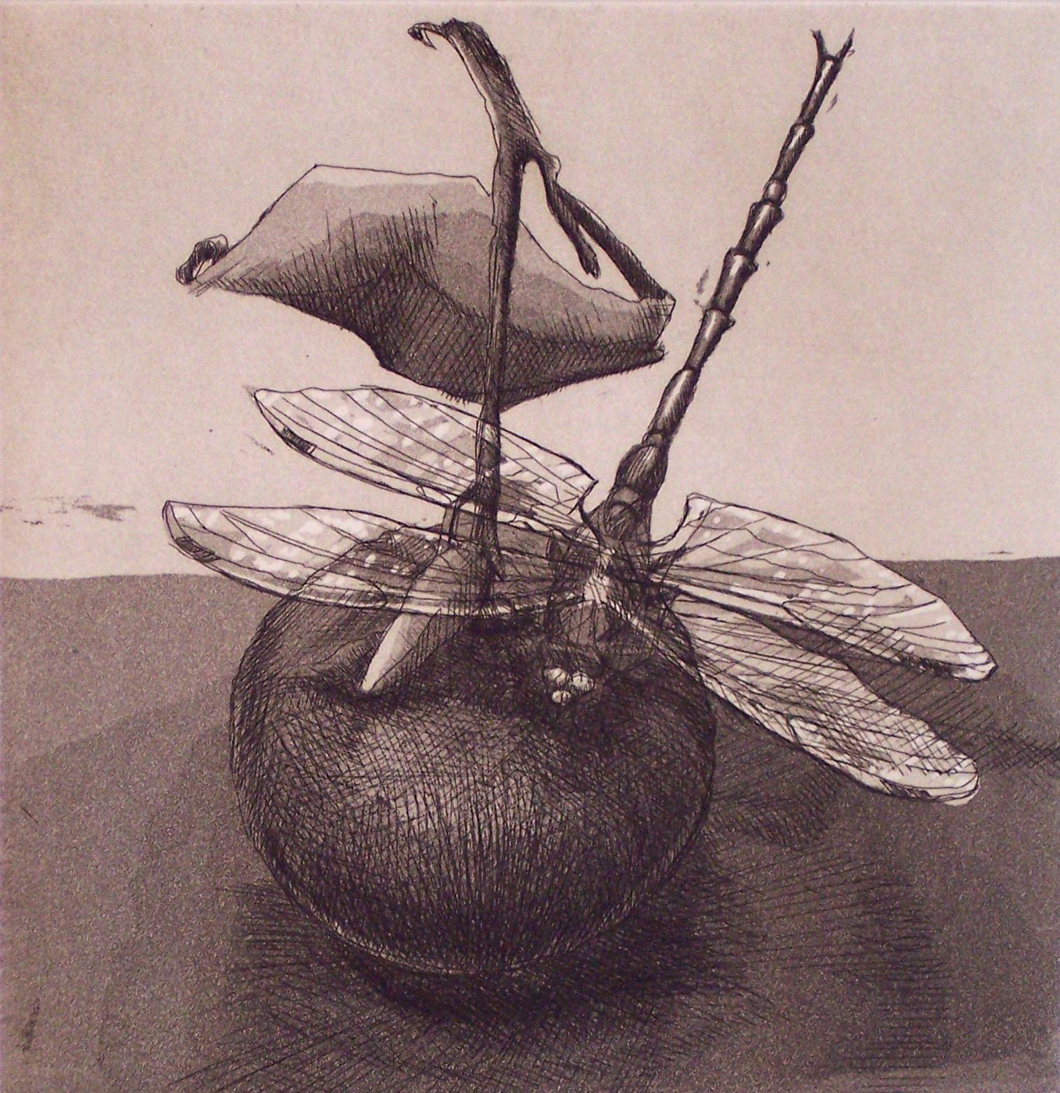 Dragonfly #3 : Monochrome etching - Art by Lisa Dinhofer