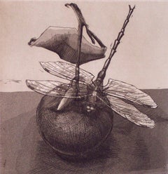 Dragonfly #3 : Monochrome etching