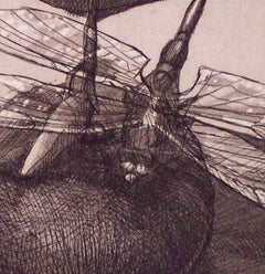 Dragonfly #3 : Monochrome etching