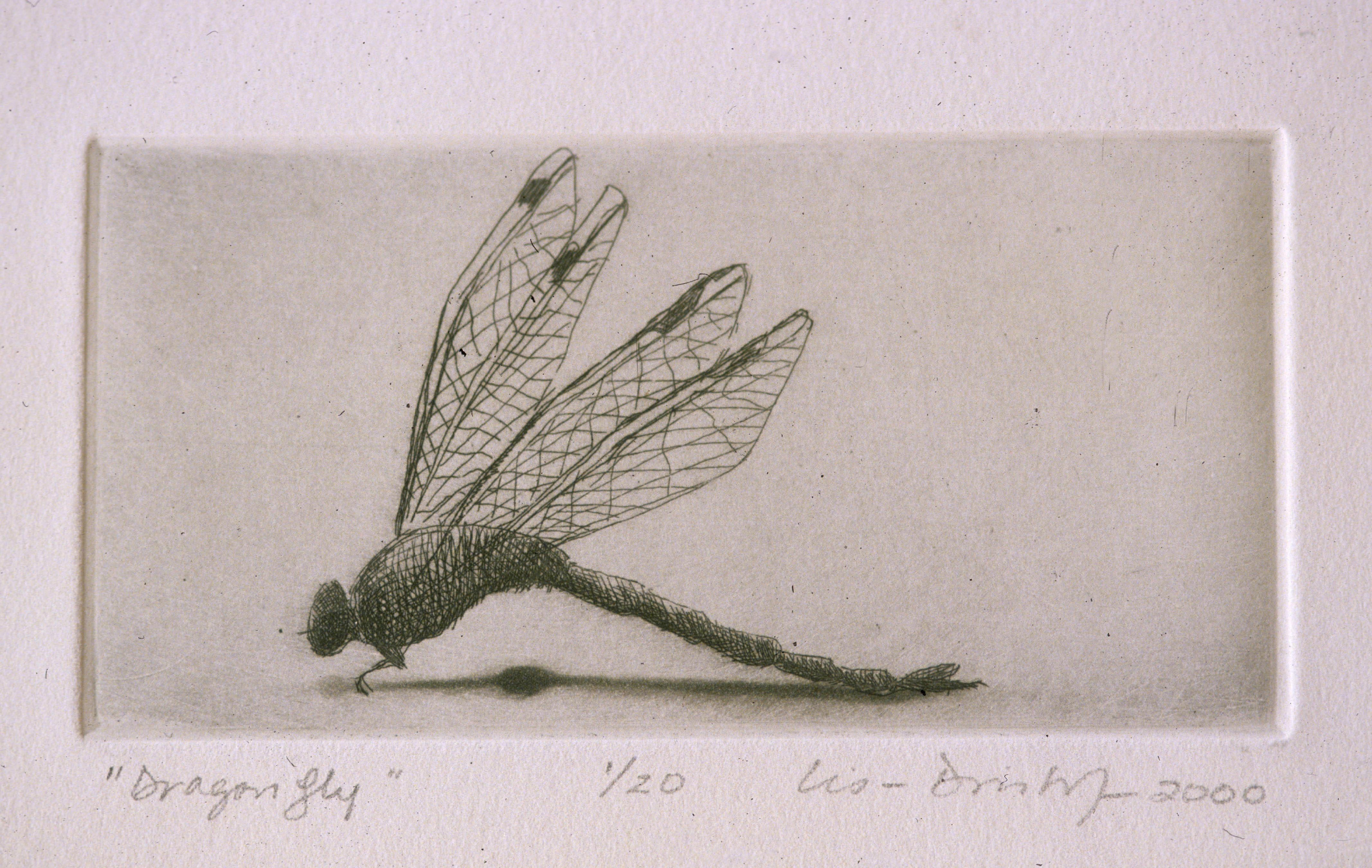 Lisa Dinhofer Animal Print - Dragonfly : Monochrome etching