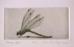 Dragonfly : Monochrome etching