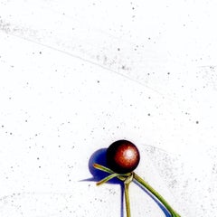 Hope (38) : Carolina Silverbell - Halesia tetraptera : dessin botanique