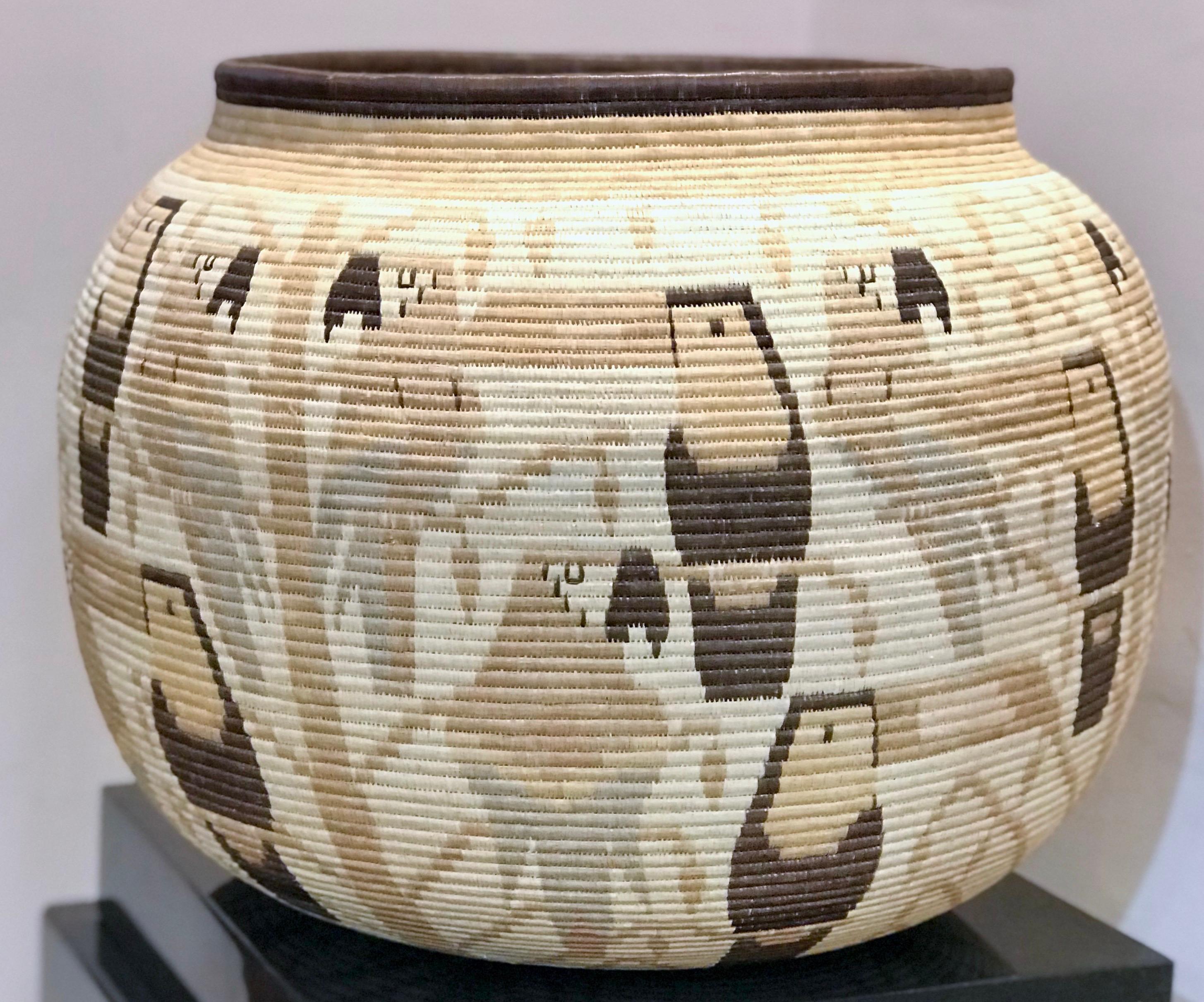 Basket, Parrot, Toucan designs Panama Rainforest Wounaan Tribe 