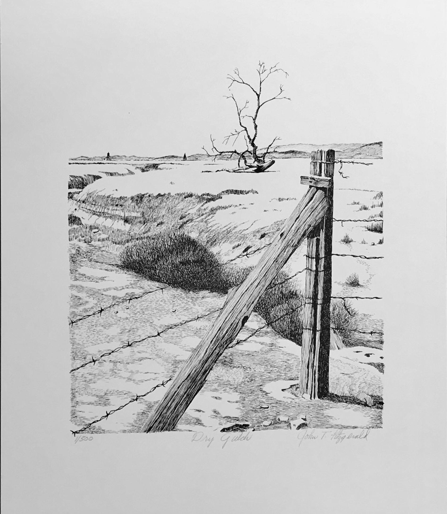 Dry Gulch by John T Fitzgerald,black, white desert print barbed wire tree desert