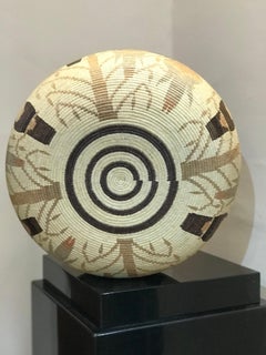 Basket, Parrot, Toucan designs Panama Rainforest Wounaan Tribe