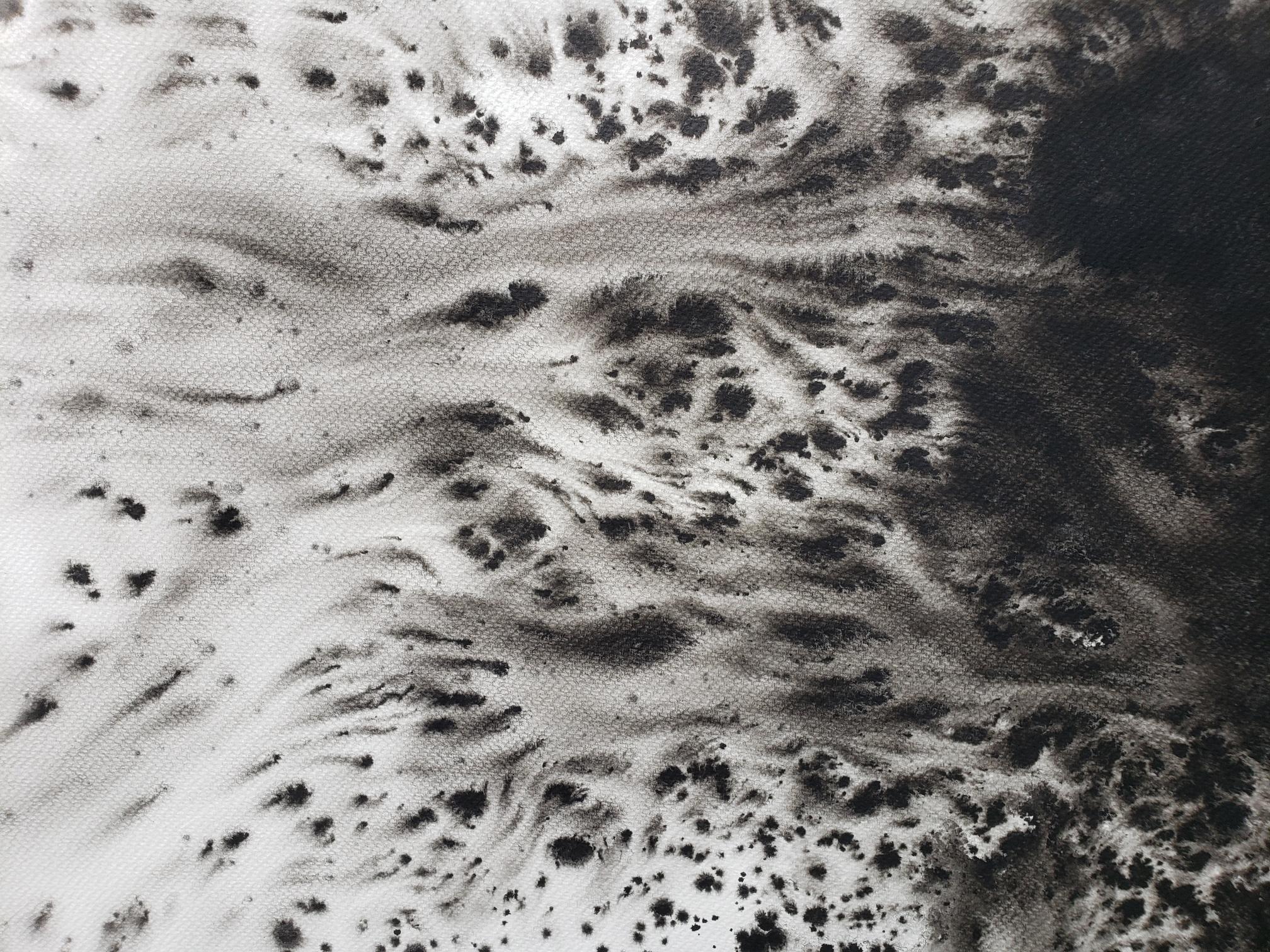 Eclipse noir et blanc  - Art de Keith Carrington