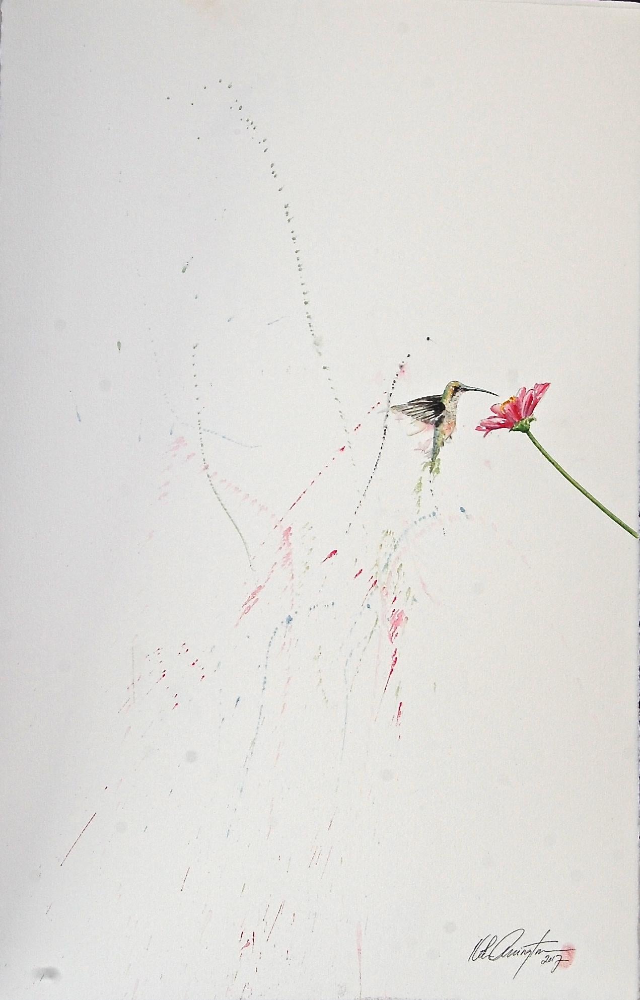 Keith Carrington Still-Life - Hummingbird XIII Ink On Paper