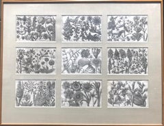  Botanical Engravings From La Natura, e Cultura dei Fiori 